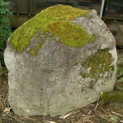 画像1: 木曽石