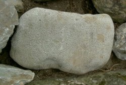 画像1: 江州産　安曇川石　前石