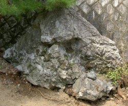 画像1: 亀岡産　乳岩