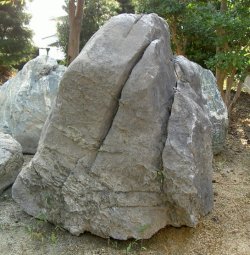 画像1: 亀岡産　乳岩
