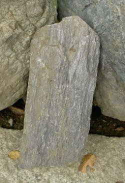 画像1: 江州産　安曇川石