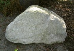 画像1: 江州産　比良石