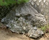 画像: 亀岡産　乳岩