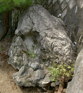 画像: 亀岡産　乳岩