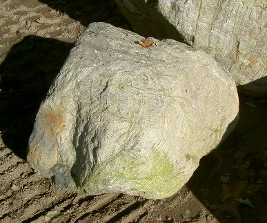 画像1: 江州産　守山石