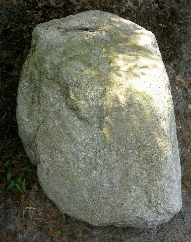 画像: 江州産　比良石